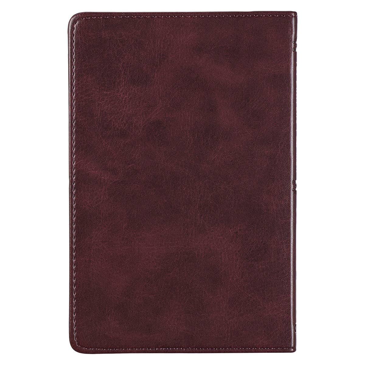 101 Prayers for Men Leather Devotional