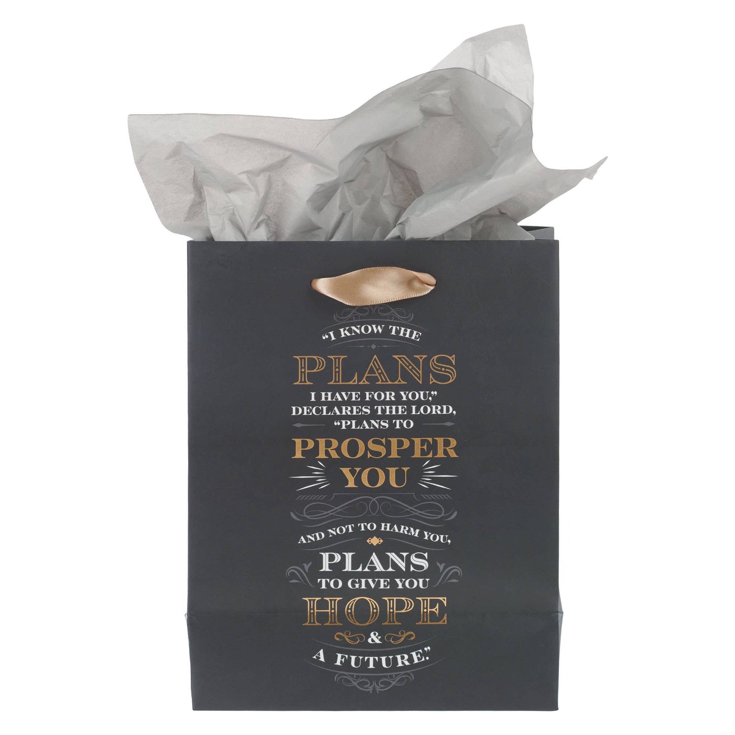 Plans for You Medium Gift Bag