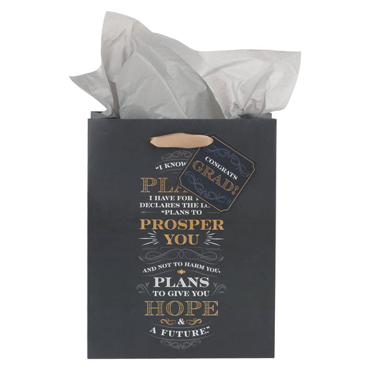Plans for You Medium Gift Bag