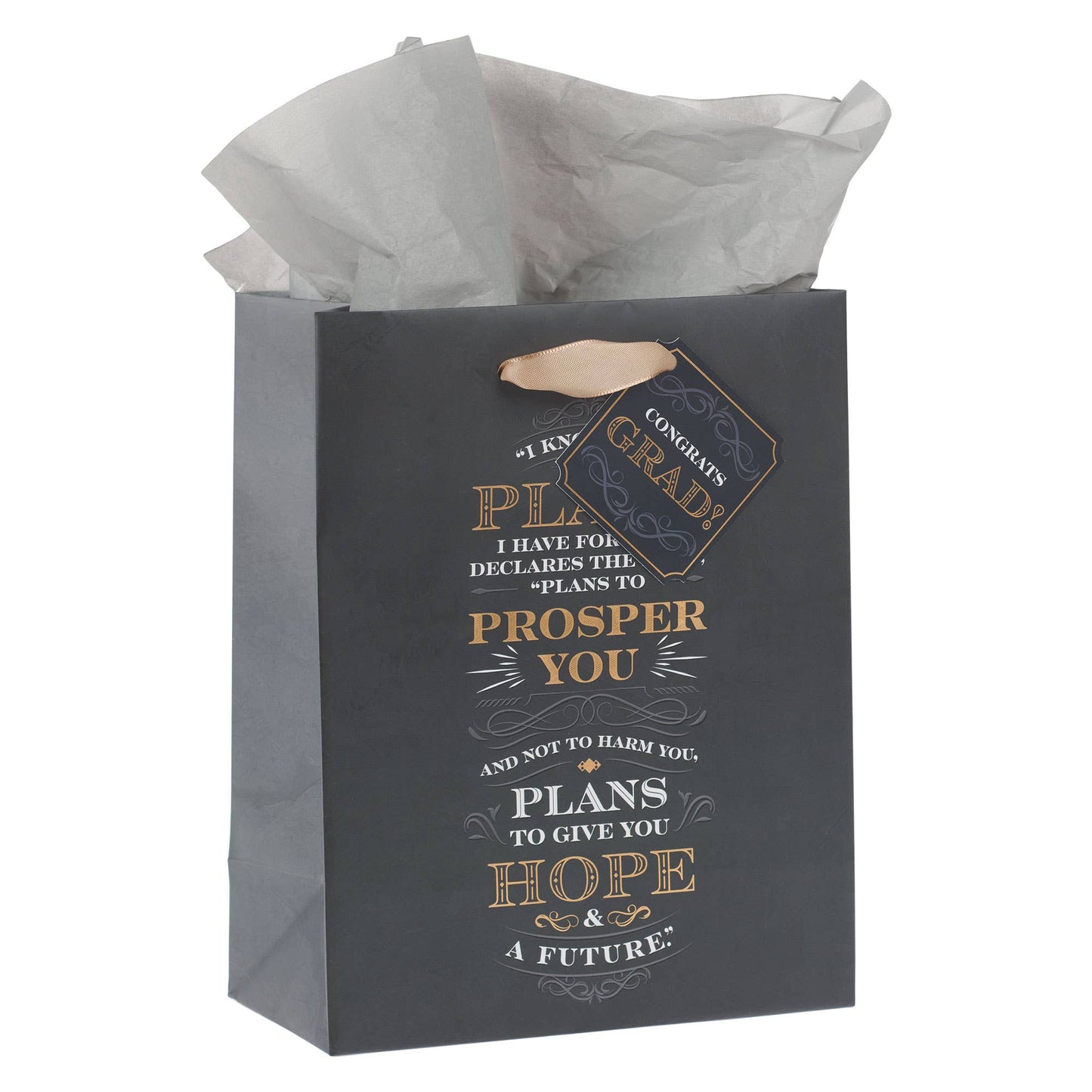 Plans for You Medium Gift Bag